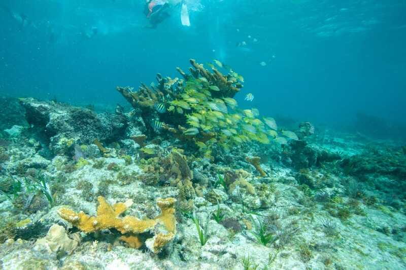 Isla Mujeres: Full Day Private Catamaran with Snorkeling - Isla Mujeres Downtown time: walking or golf car exploring