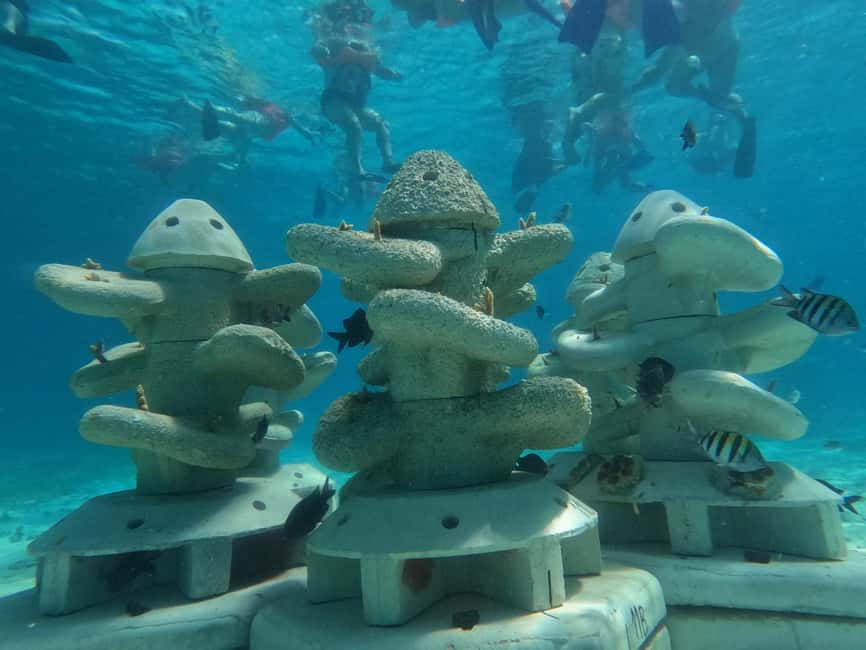 Isla Mujeres: Full Day Private Catamaran with Snorkeling - Choosing your departure time (08:00–12:00) and shaping your day