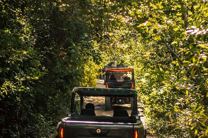 Jungle Buggy Day Tour - What’s not included: where extra costs can show up