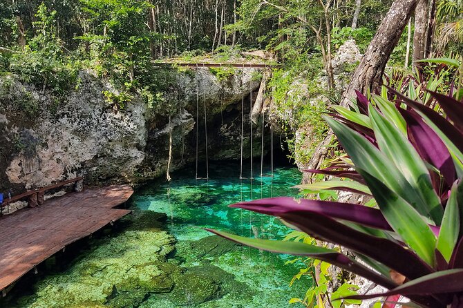 Kaan Luum and Cenotes and Mayan Traditions from Riviera Maya - Food and gear: lifejackets, bottled water, and lockers for swim time