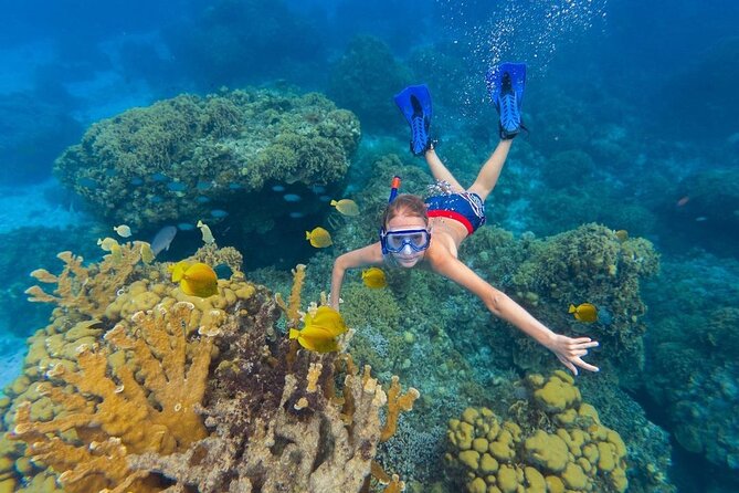 Kaan Luum Lagoon and Cenote Snorkel Tour in Tulum - Playa Maya Snorkel: Reef Time, Rules, and What You’ll Actually Do