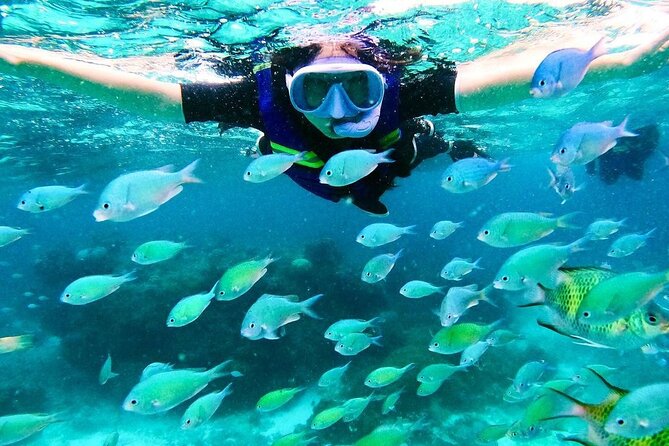 Kaan Luum Lagoon and Cenote Snorkel Tour in Tulum - Price and Value: What $79 Covers and the 765 MXN Fee