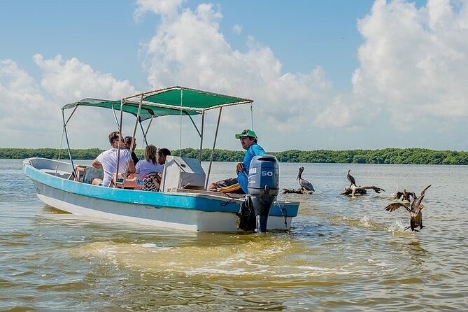 Las Coloradas & Rio Lagartos Biosphere! Transportation from Playa Del Carmen - Food on the Move: Box Lunch, Lunch Choice, and Seafood Style