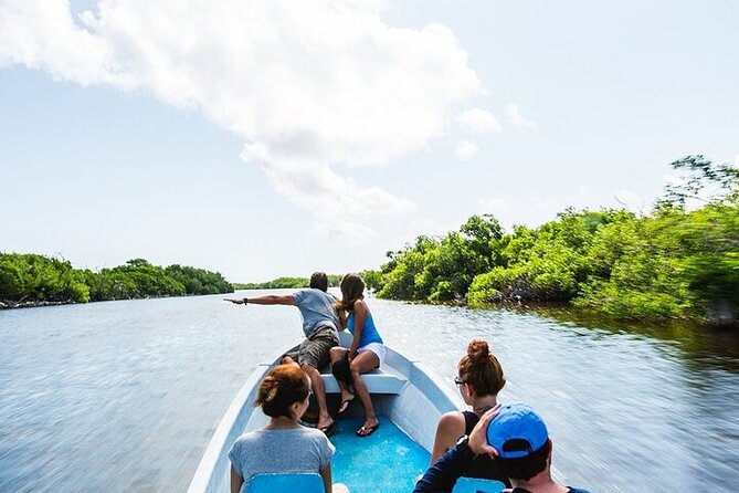Las Coloradas & Rio Lagartos Biosphere! Transportation from Playa Del Carmen - What to Pack for a Mud Bath and a Full-Day Heat Plan