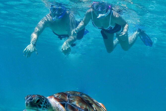 Luxury Sailing & Snorkeling Experience from Riviera Maya - Why This Half-Day Catamaran Works So Well in Riviera Maya