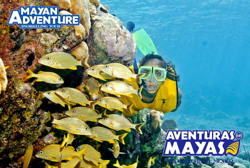 Mayan Adventure - 3 different snorkeling sites in one day! - Pickup to First Water Stop: When You’ll Notice the Small-Group Difference