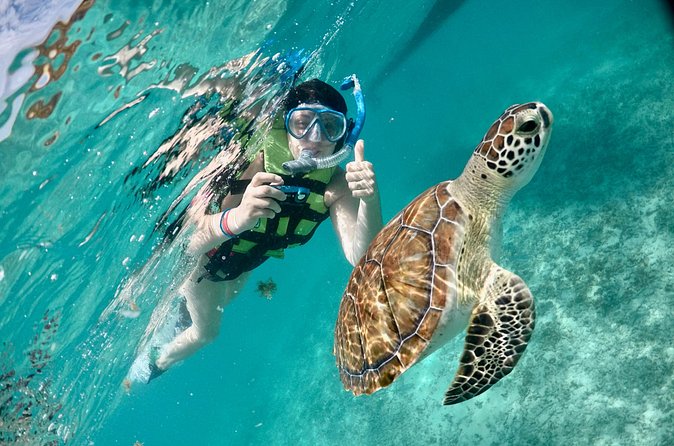 Mayan snorkeling (Akumal-Cenote-Caverna) - Timing, Comfort, and What to Bring for a 7am Start