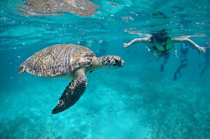 Mayan snorkeling (Akumal-Cenote-Caverna) - FAQ