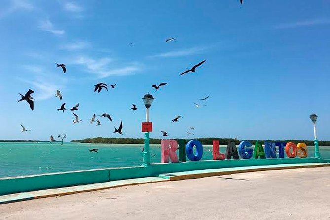 Natural Pink Lake Tour Las Coloradas only from Playa del Carmen - Getting from Playa del Carmen: Cocobongo pickup and the long-day rhythm