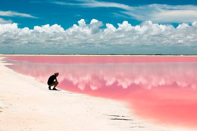 Natural Pink Lake Tour Las Coloradas only from Playa del Carmen - Food and drink: box meal, lunch choices, and what costs extra