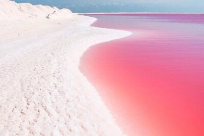 Natural Pink Lake Tour Las Coloradas only from Playa del Carmen - Las Coloradas pink salt lagoon: photo planning for a working salt operation
