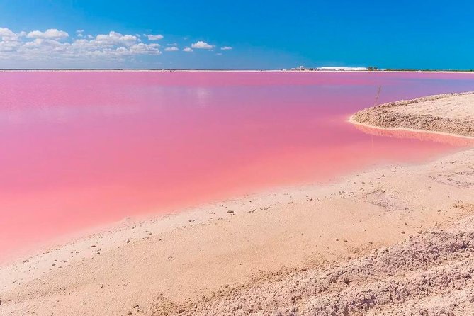 Natural Pink Lake Tour Las Coloradas only from Playa del Carmen - Group logistics, guide style, and staying on schedule