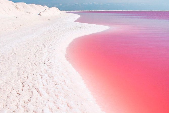 Natural Pink Lake Tour Las Coloradas only from Playa del Carmen - Las Coloradas pink salt lagoon: photo planning for a working salt operation