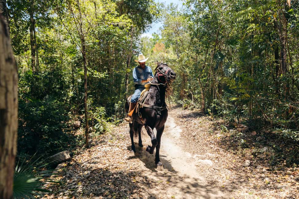 Nature Tour - Tequila tasting and the snack that keeps you going
