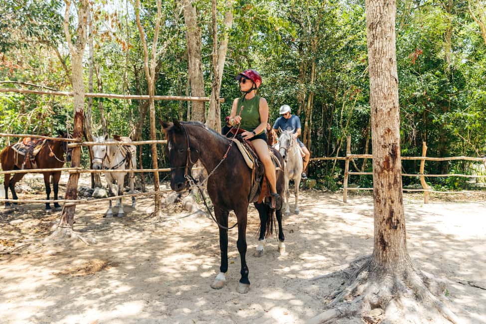 Nature Tour - Price and value: why $75 can work (and when it won’t)