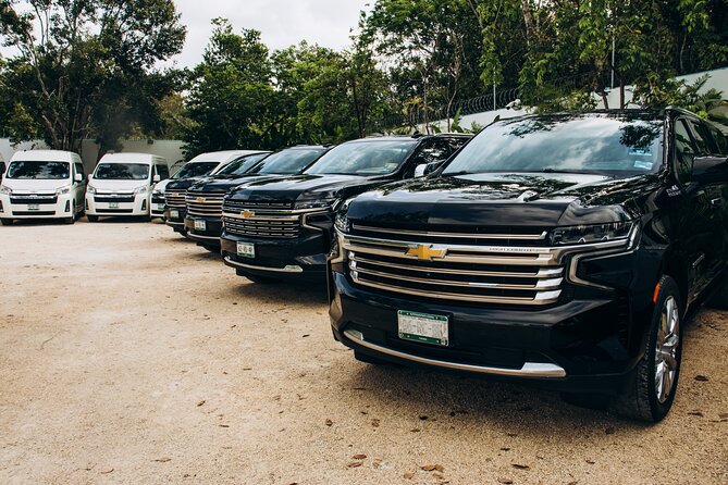 One Way Private Transfer Playa del Carmen - Cancun Int Airport - Key Highlights You’ll Actually Use
