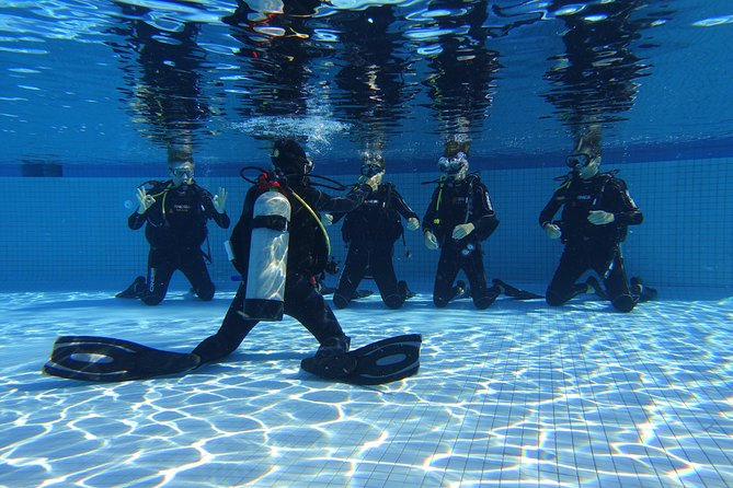 Open Water Diver 2-Day PADI Course in Playa del Carmen - Instructor quality: what makes this course feel smooth