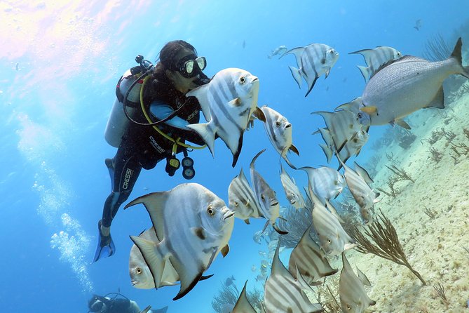 Open Water Diver 2-Day PADI Course in Playa del Carmen - Who this course fits best in Playa del Carmen