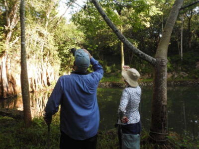 Playa del Carmen: Guided Birdwatching Hike - How the Ruta de Los Cenotes Trail Fits Birdwatching