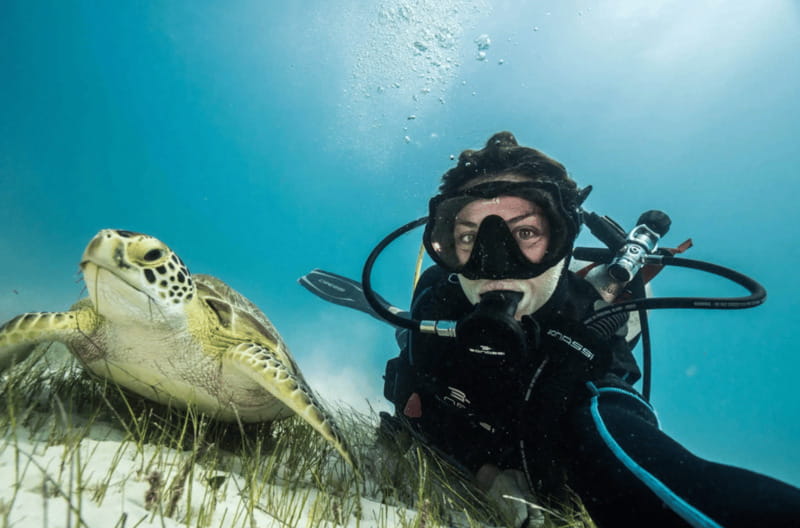 Playa del Carmen: Guided Reef Diving for Certified Divers - The full 8-hour flow: from gear up to wildlife encounters