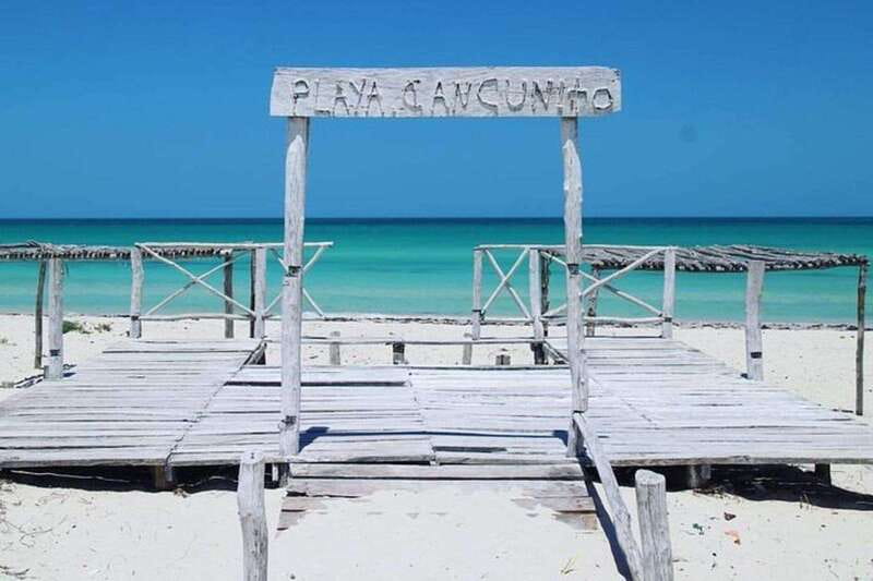 Playa del Carmen: Rio Lagartos and Las Coloradas Tour - Key things to know before you go