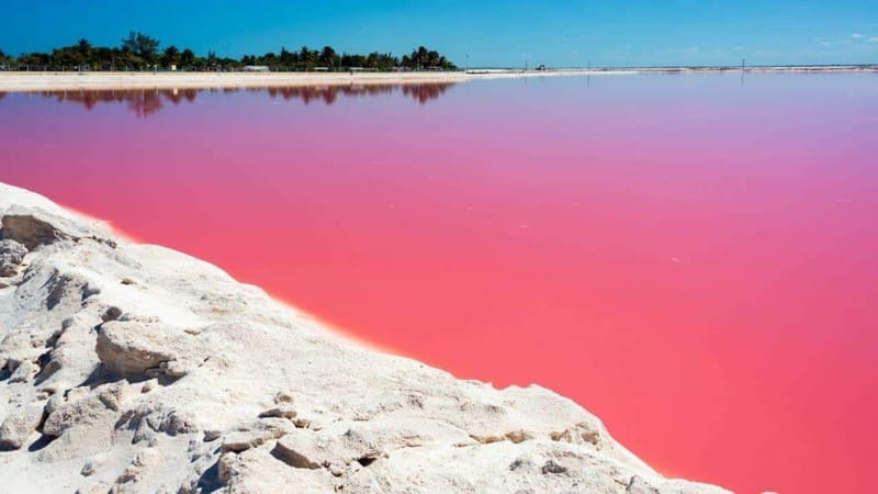 Playa del Carmen: Rio Lagartos and Las Coloradas Tour - Las Coloradas pink ponds: the salt process and rose-colored views