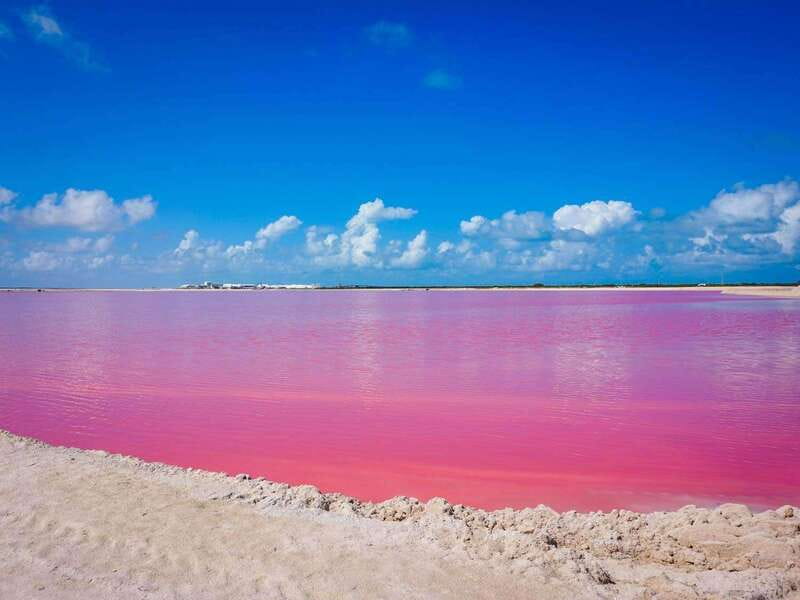 Playa del Carmen: Rio Lagartos and Las Coloradas Tour - The Mayan mud bath + freshwater rinse: what to pack and how to not stress it