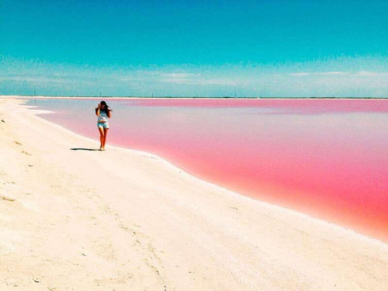 Playa del Carmen: Rio Lagartos and Las Coloradas Tour - Price at $142: what you really pay and when it’s worth it