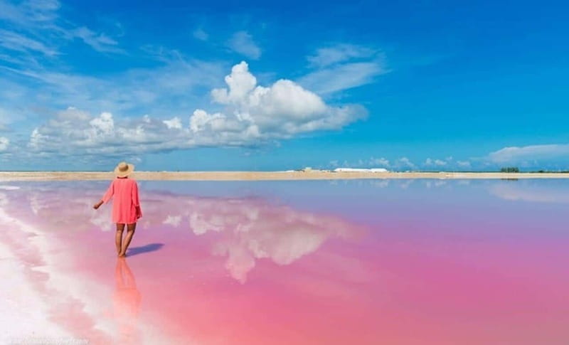Playa del Carmen: Rio Lagartos and Las Coloradas Tour - Guide quality makes a difference: Spanish, English, and how much you learn