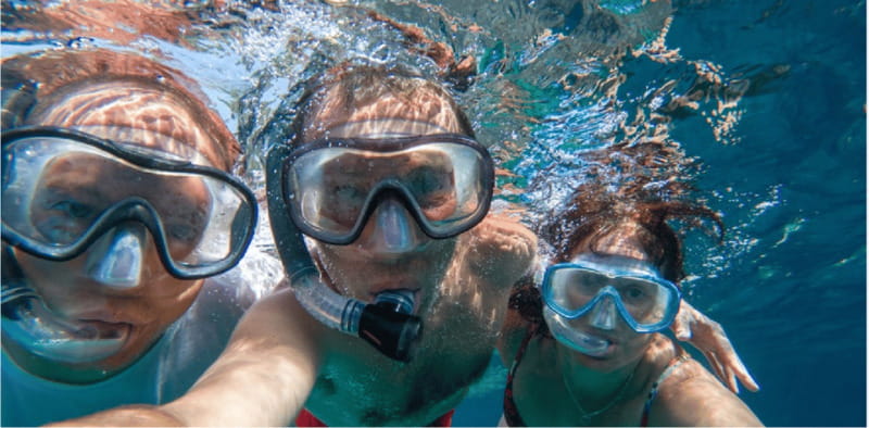 Playa del Carmen: Snorkel Tour at Local Reef - Key Highlights You’ll Care About