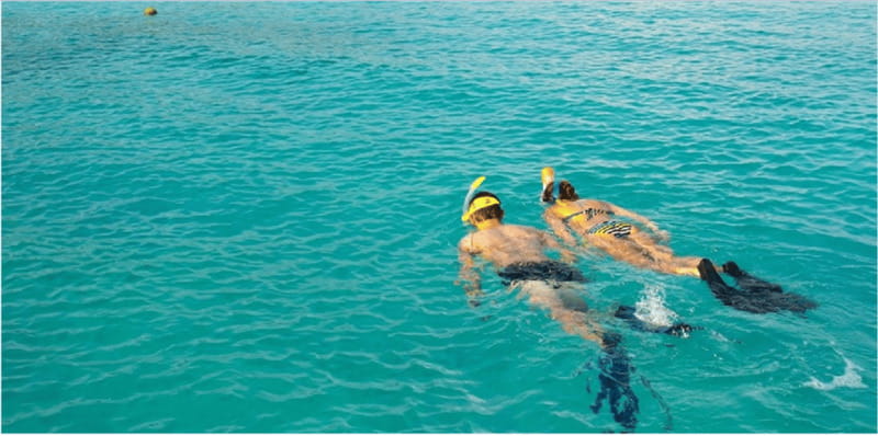 Playa del Carmen: Snorkel Tour at Local Reef - The Boat Ride: Short, Practical, and Slightly Different