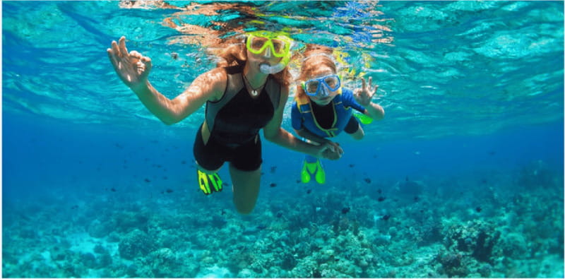 Playa del Carmen: Snorkel Tour at Local Reef - Safety Briefing: Why It Matters Even for Beginners