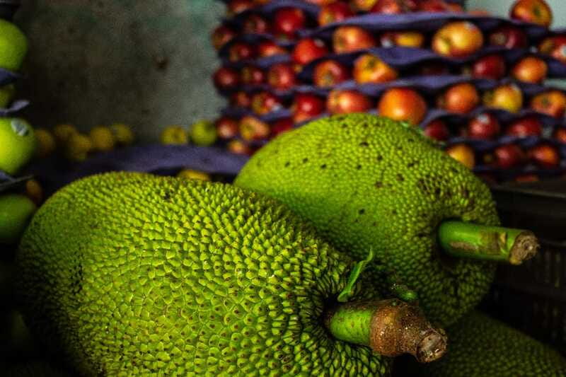 Playa del Carmen: Vegan Food Walking Tour - Who should book this vegan food walking tour