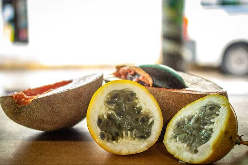 Playa del Carmen: Vegan Food Walking Tour - Meeting at Juárez and 10th Ave: you start with the right vibe