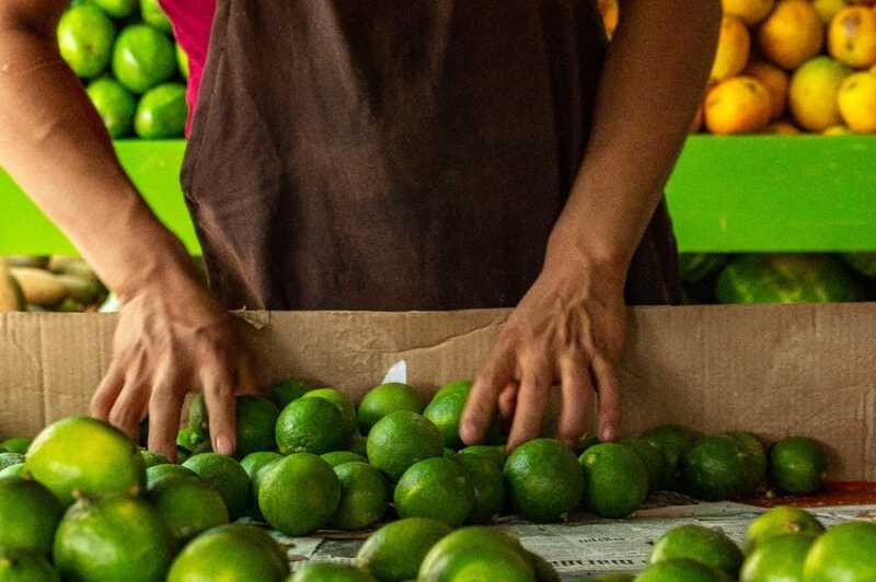 Playa del Carmen: Vegan Food Walking Tour - Small group, multilingual guides: why max 10 changes everything
