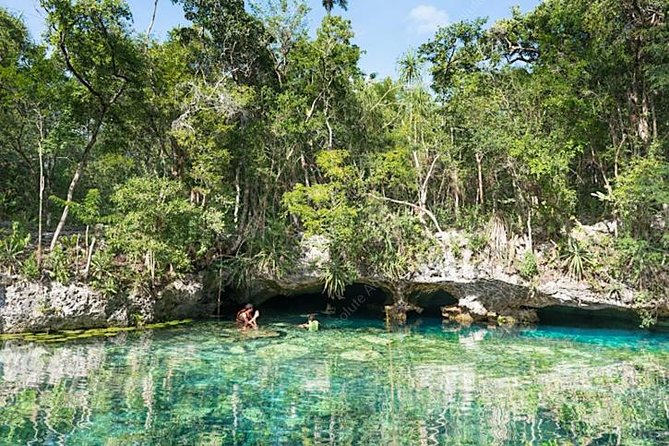 Private 2-Cenote Snorkeling Tour with Authentic Mayan Lunch - Snorkeling gear, life vests, and the swimming rule that matters