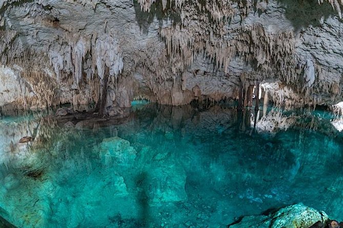 Private 2-Cenote Snorkeling Tour with Authentic Mayan Lunch - Pickup from Playa del Carmen: where the day either flows or drags