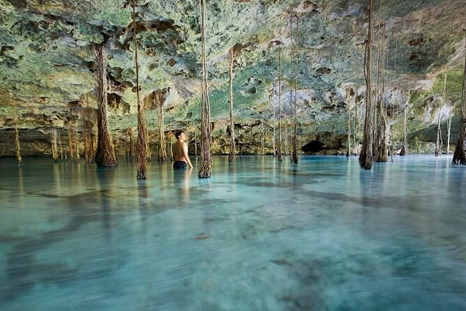 Private 4Cenote Experience, swim in the heart of the Mayan Jungle - Key highlights to know before you go