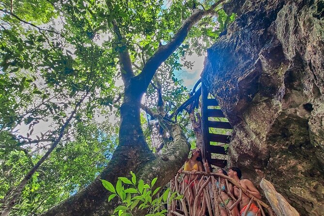 Private 4Cenote Experience, swim in the heart of the Mayan Jungle - The Mayan jungle trail walk: what to expect and how to enjoy it