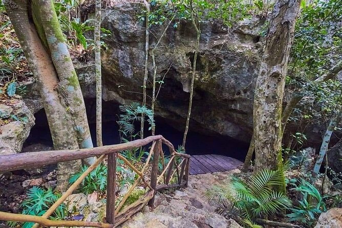 Private 4Cenote Experience, swim in the heart of the Mayan Jungle - Snorkeling gear and a guide who helps you actually enjoy the water