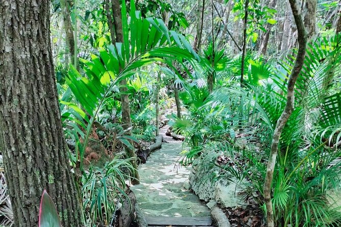 Private 4Cenote Experience, swim in the heart of the Mayan Jungle - What to do about snacks (and how to plan your energy for four swims)