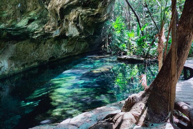 Private 4Cenote Experience, swim in the heart of the Mayan Jungle - 9:00 am pickup in Playa del Carmen: the day starts without stress