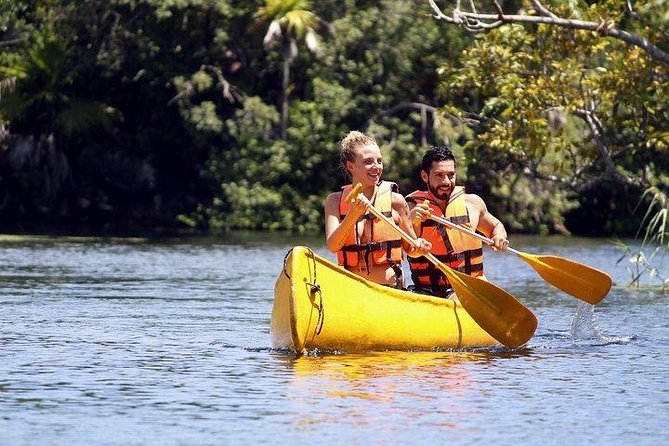 Private Coba & Jungle Adventure: Zipline, Rappel & Cenote - Cenote Toh (Yaxmulito) and the Taco Fiesta Stop