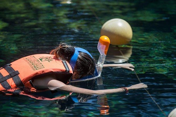 Private Coba & Jungle Adventure: Zipline, Rappel & Cenote - Price and Value: What $292.50 Really Buys