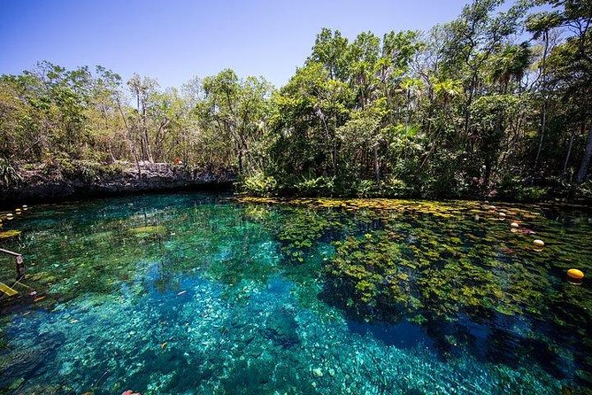 Private Coba & Jungle Adventure: Zipline, Rappel & Cenote - Who This Tour Fits Best (And Who Might Prefer Another Day)
