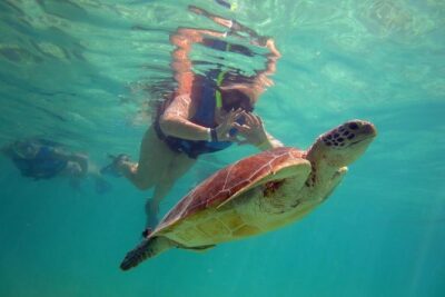 Private Experience: Akumal sea turtles encounter and Yal-kú lagoon colorfull fish snorkel. - Stop 1 in Akumal: sea turtles, rays, and reef life in the bay