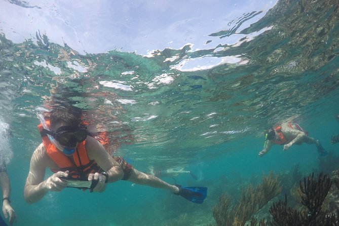 Private Fishing Tour in Yacht Playa del Carmen - The Snorkeling Bonus: Gear Included, So You’re Not Stuck Waiting
