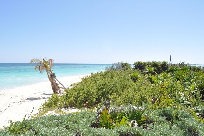 Private Full-Day Guided Tulum Coba and Cenote Tour with Lunch - Stop 1 at Tulum: Maya ruins plus cenote time