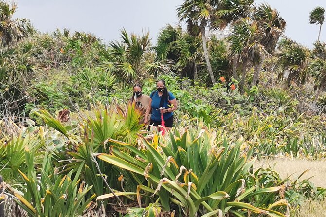 Private Full-Day Guided Tulum Coba and Cenote Tour with Lunch - Price and value: what’s included, what costs extra