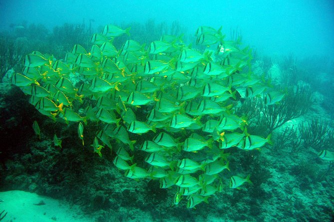 Private Isla Mujeres Adventure & Free Time - What to Bring (and What Not to Forget)
